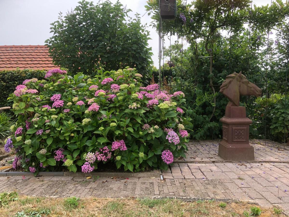 Laaker Villa Nearby Outlet Roermond Ohé en Laak Εξωτερικό φωτογραφία
