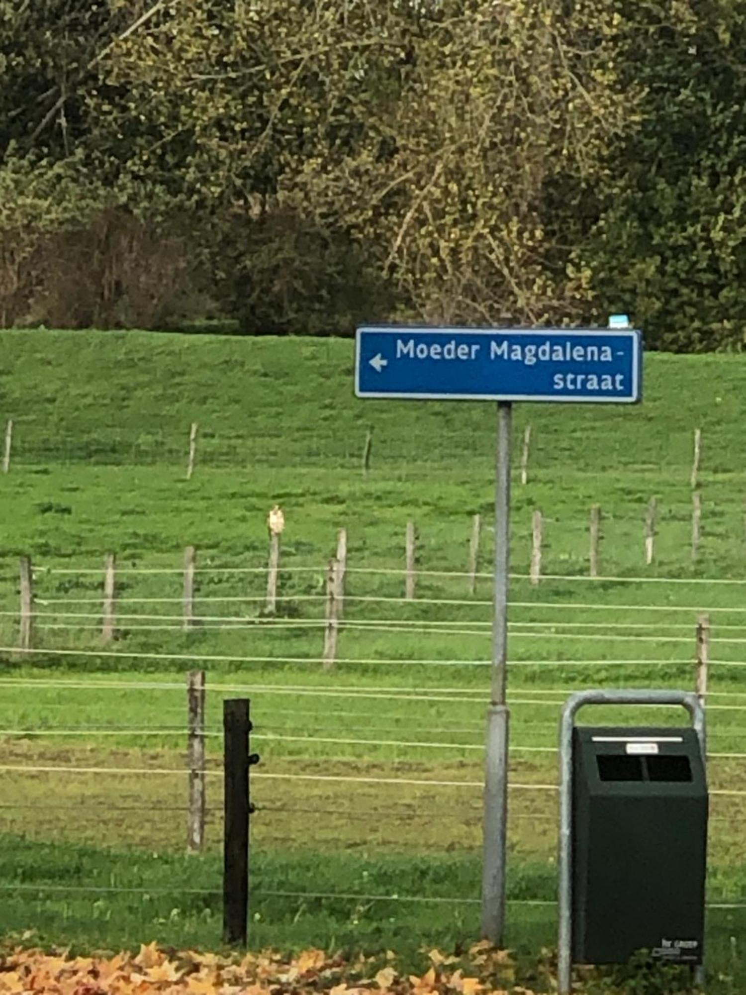 Laaker Villa Nearby Outlet Roermond Ohé en Laak Εξωτερικό φωτογραφία